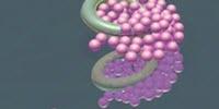 Tiny Swimming Donuts May Bridge the Gap Between Biological and Synthetic Microorganisms