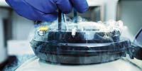 Working with Liquid Nitrogen