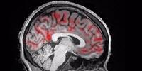 Are We 'Brainwashed' during Sleep?