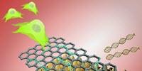 Better Biosensor Technology Created for Stem Cells
