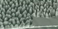 Black Silicon Can Help Detect Explosives