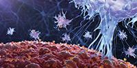 Humans Co-Evolved with Immune-Related Diseases—and It's Still Happening