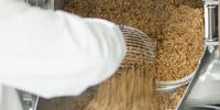 Leftover Grain from Breweries Could Be Converted into Fuel for Homes