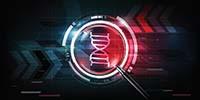 Next Level Forensic Investigations