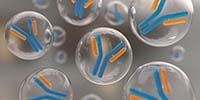 Preparative Ion Chromatography