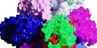 Researchers Visualize Bacteria Motor in First Step Toward Human-Produced Electrical Energy