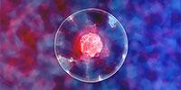 A Way to 'Fingerprint' Human Cells
