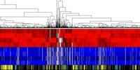 Diabetes Drug Has Unexpected, Broad Implications for Healthy Aging