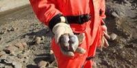 Earth Was Stressed before Dinosaur Extinction