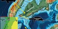 Fossil Research Unveils New Turtle Species and Hints at Intercontinental Migrations