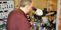 How Crabs Could Lead to Better Alzheimer's Treatments