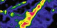 Improved pH Probes May Lead to Better Cancer Treatments