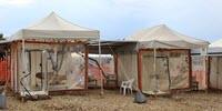 Investigational Drugs Reduce Risk of Death from Ebola Virus Disease