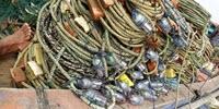 Lights on Fishing Nets Save Turtles and Dolphins