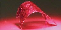 Liquid Crystal Polymer Learns to Move and Grab Objects
