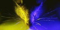 Researchers Discover When It’s Good to Get the Blues
