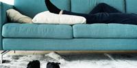 Scientists Create 'Epigenetic Couch Potato' Mouse