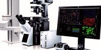 The Olympus scanR High-Content Screening Station Rapidly Acquires Quantitative Data from Cell-Based Assays