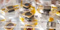 Tweaks Behind the Rebirth of Nearly Discarded Organic Solar Technologies