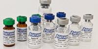 Advanced BioMatrix Acquires HyStem® from Lineage Cell Therapeutics