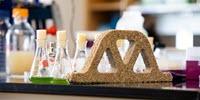 Bacteria and Sand Engineered into Living Concrete