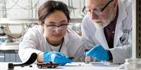 Chemists Find New Way to Break Down Old Tires into Material for New Ones