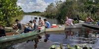 Inspiring STEM Careers through a Hands-On Everglades Microbiome Study