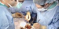 Less-Than-Perfect Kidneys Can Be Successfully Used for Transplants, Study Shows