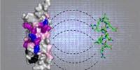 Machine Learning Tool Locates Ancient Hidden Protein Patterns