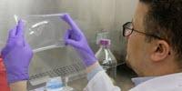 Novel Composite Antimicrobial Film Could Take a Bite out of Foodborne Illnesses