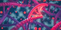 Opening up DNA to Delete Disease