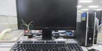 Plants Can Improve Your Work Life