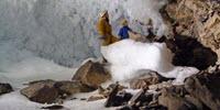 Sea-Ice-Free Arctic Makes Permafrost Vulnerable to Thawing