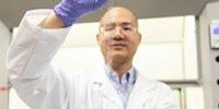 Skin-Like Sensors Bring a Human Touch to Wearable Tech