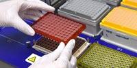 Some Genetic Sequencing Fails to Analyze Large Segments of DNA