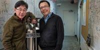 Study Finds Billions of Quantum Entangled Electrons in 'Strange Metal'